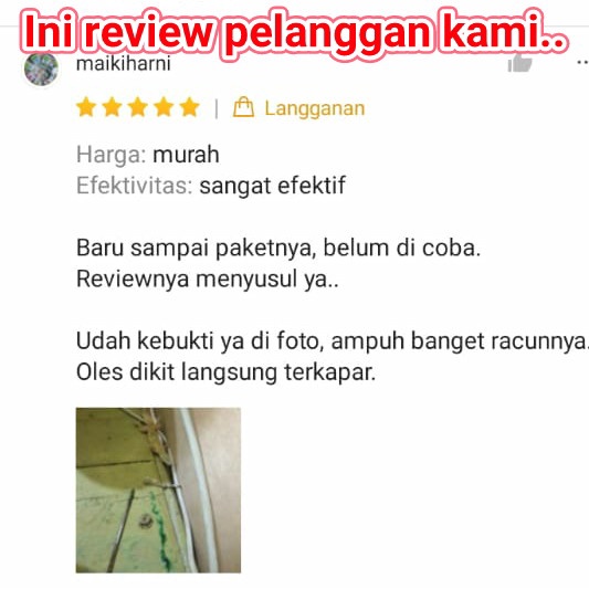 RACUN PEMBASMI CICAK DAN TOKEK RACUN OBAT PEMBASMI CICAK SUPER AMPUH