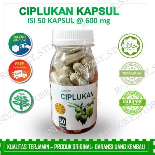 

✓ Ciplukan Obat stroke ampuh terbukti herbal suplemen untuk terapi saraf dan otak isi 50 kapsul