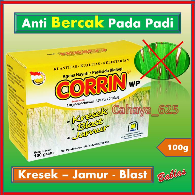 Obat Kresek Tanaman Padi Paling Ampuh / Obat Sundep Padi / Obat Padi Blast