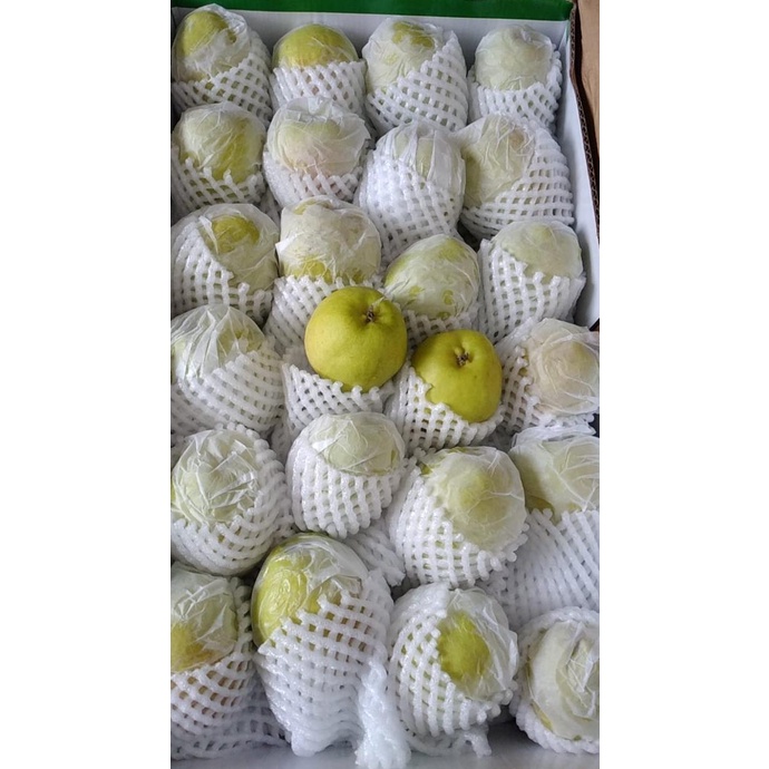 

Pear Xianglie Mini ram04
