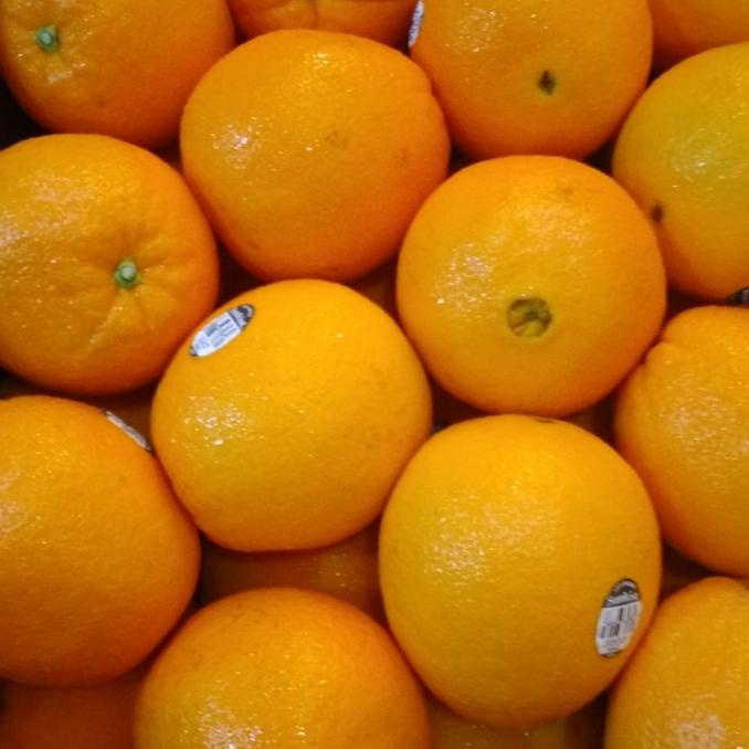 

JERUK SUNKIS IMPORT/1KG ram04