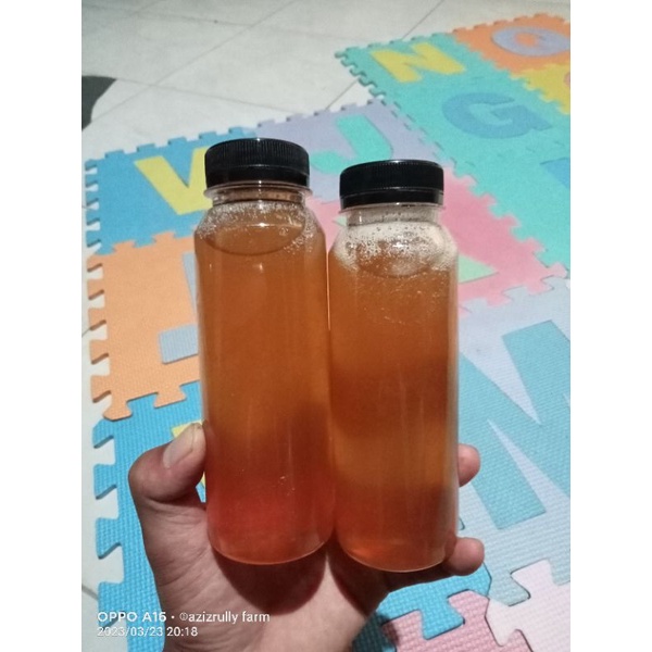 

madu lebah apis cerana liar PAHIT