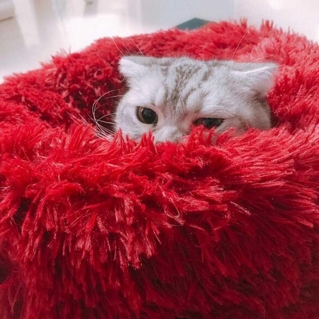 Hachikitty Karpet Matras Hewan Kucing Cat Plush Kennel CFB34 Tempat Tidur Anjing Tempat Tidur Anjing Tempat Makan Anjing Tempat Makan Anjing Peralatan Anjing Peralatan Anjing Peralatan Mandi Kucing Peralatan Mandi Kucing Harnes Anjing Harnes Anjing Perala