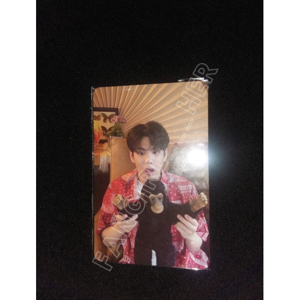 Photocard Album eod rtm Wonpil monyet