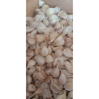 

Bawang putih kating bersih dan kering 1kg