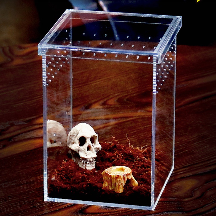 Terlaris Acrylic Cage Custom - Kandang Akrilik Hamster Tarantula Reptil Premium