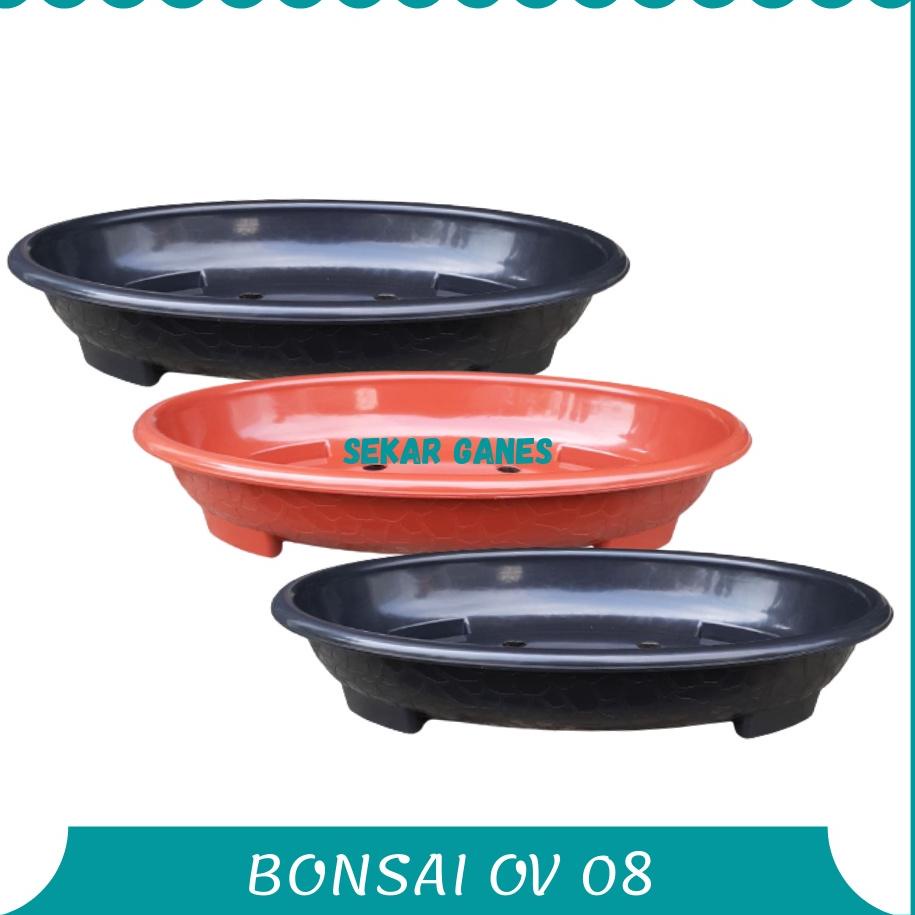✓ Pot Bonsai Oval Ov 08 Putih Hitam Merah Bata Coklat Pot Bunga Plastik Bonsai Motif Batu Alam Ceper