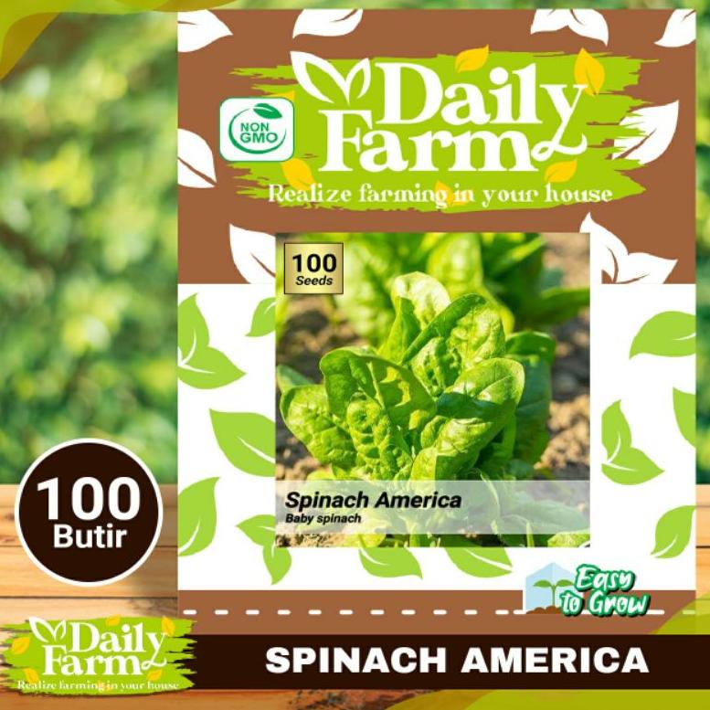 [KODE 77]  Benih Sayur Bayam - Baby Spinach - Spinach Amerika
