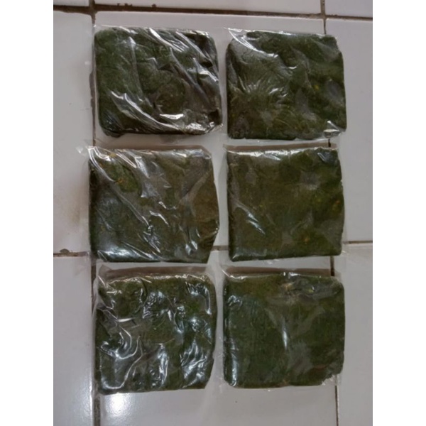 UMPAN IJO - GT LELE 500gr