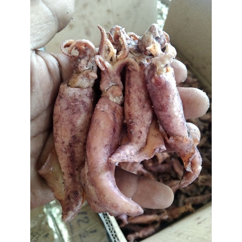 

Cu Asin Kering 1Kg/Ikan Asin Cu/Cu Kering Asin