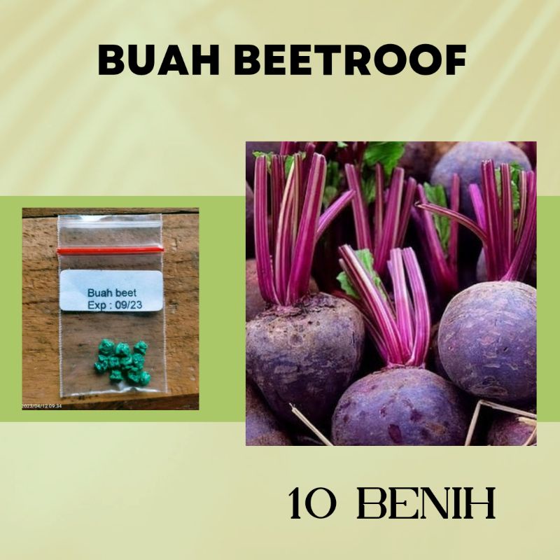 10 biji buah beet merah
