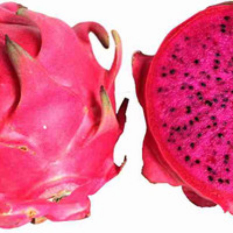 

DRAGON RED DRAGON FRUIT
