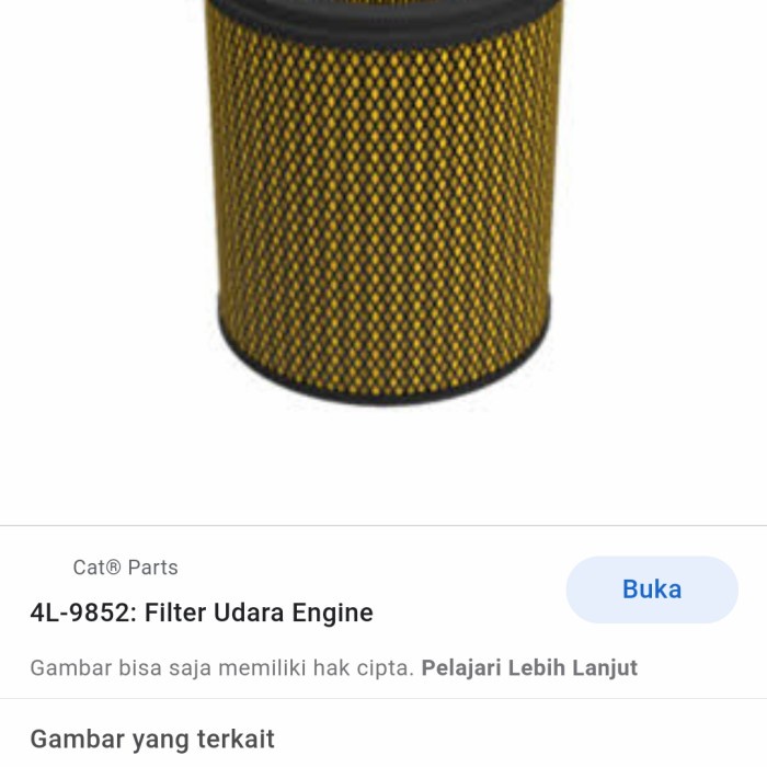 MLSI Filter Cat Genuine 4L-9852