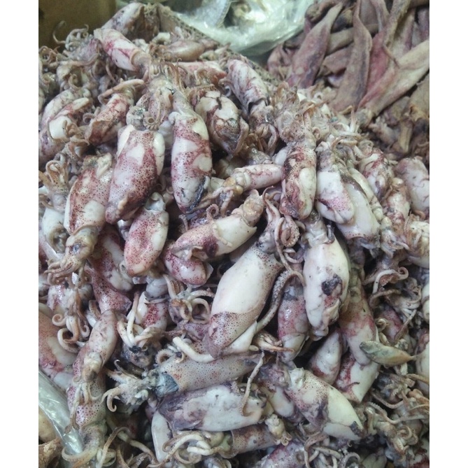 

Ikan asin cumi sotong fresh 1kg