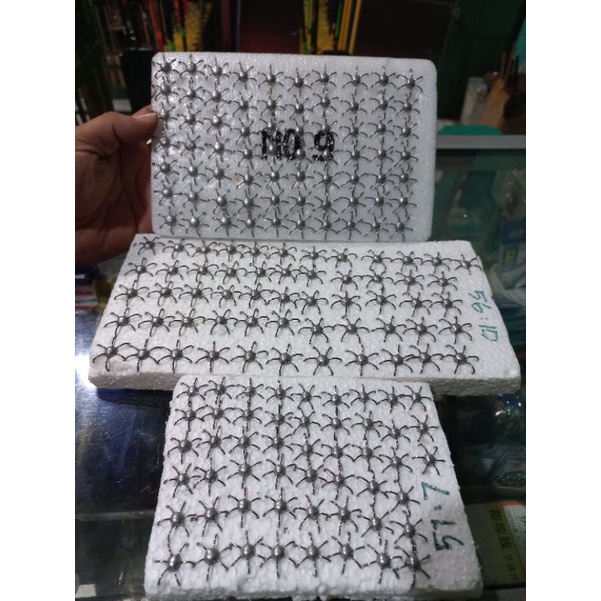 Garong / Baronang / Semadar / Kail Garong