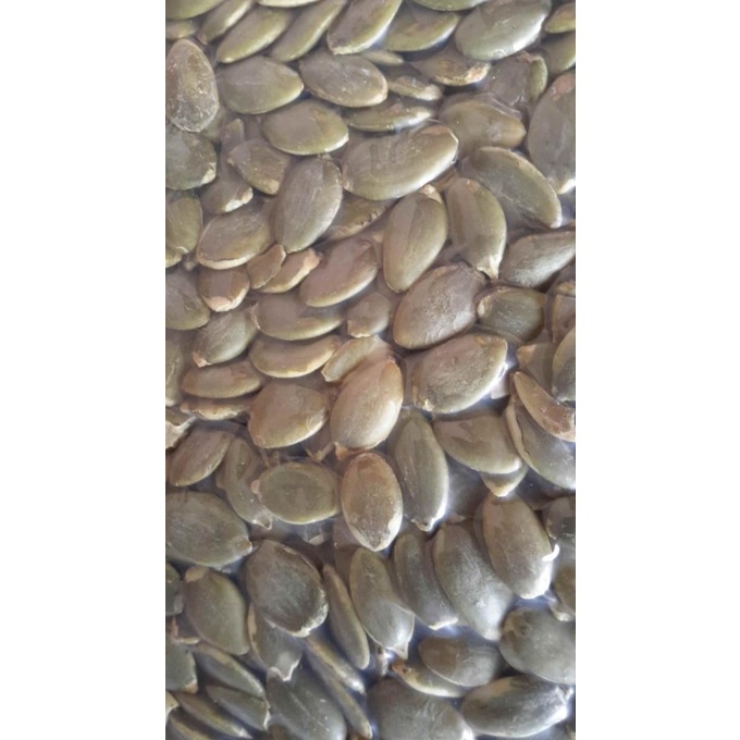 

Promo PUMPKIN SEEDS ROASTED / BIJI LABU PANGGANG / PEPITA OVEN - 1KG