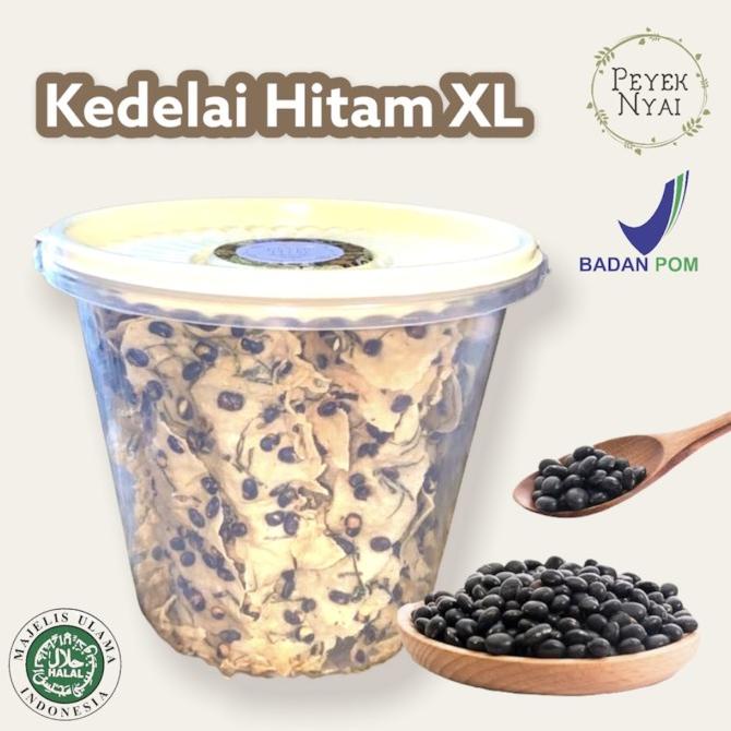 

Promo Rempeyek Peyek Nyai Kedelai Hitam (XL)