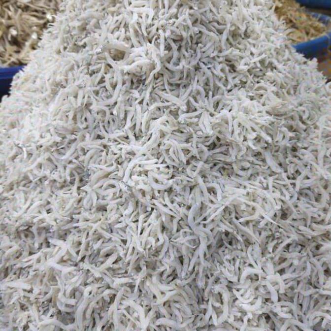 

Promo TERI MEDAN GRADE A KASAR TERMURAH