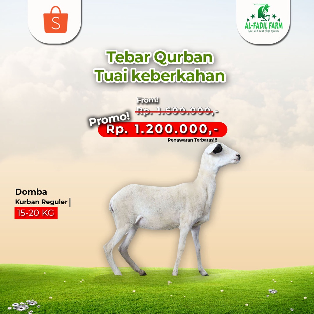 

Tebar Hewan Qurban Grade A 15-20Kg