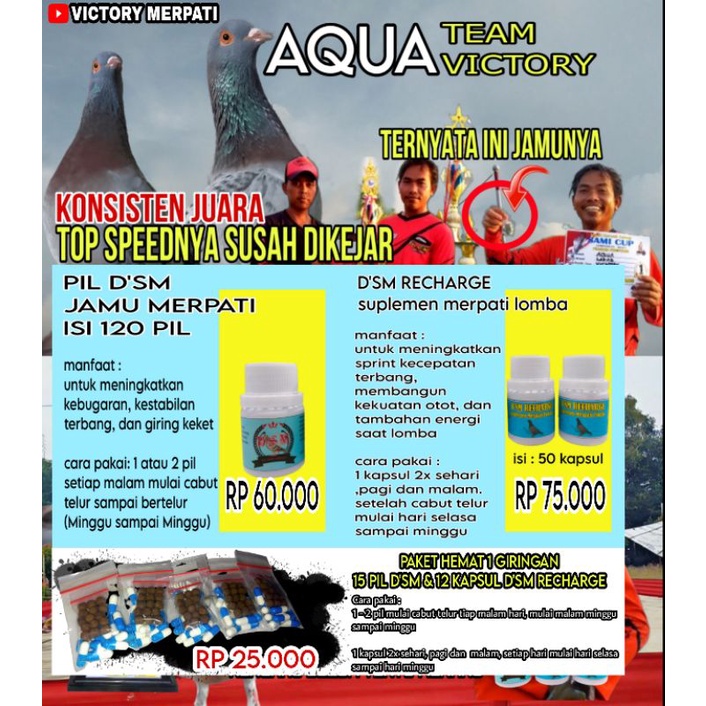 Pil D'SM sehat merpati jamu merpati pil merpati dsm pil dsm