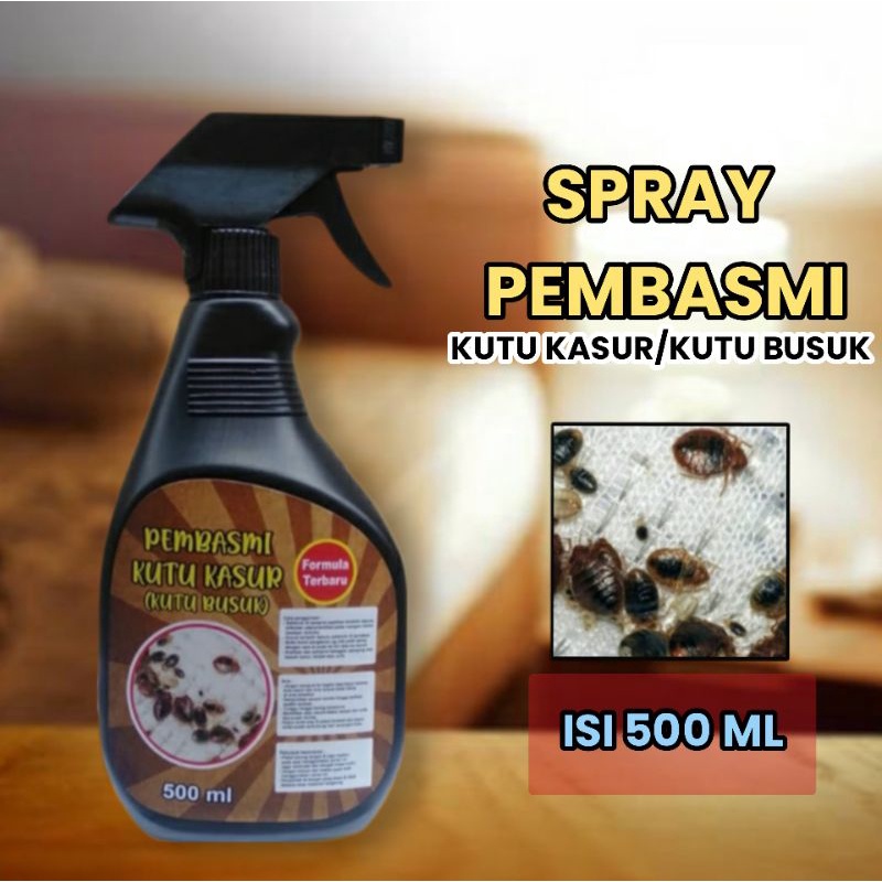 Spray Pembasmi Kutu Kasur, Kutu Busuk