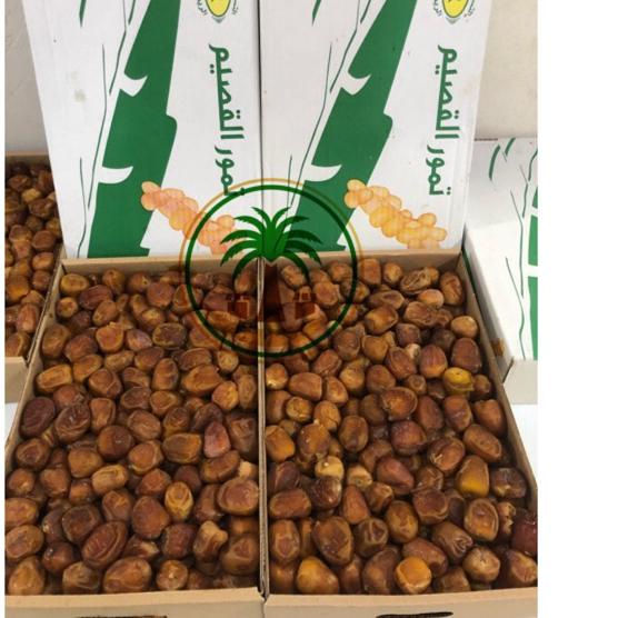 

Diskon | FG2 | Kurma Sukari FRESH!! 3kg / Sukary AlQasim / Kurma Raja , Kurma Ruthab Rutob