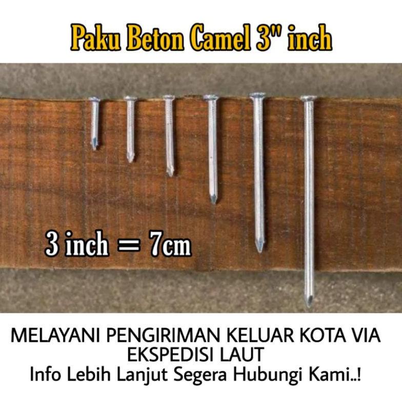 Trendy Paku Beton 3" paku tembok Camel Paku Beton Putih 3" Camel Paku galvanis putih 3" 7cm paku tem