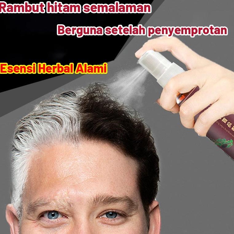 12.12 BRANDS FESTIVAL esence fo-ti lingzhi hitam / shampo herbal / melembabkan / tumbuh rambut / ram