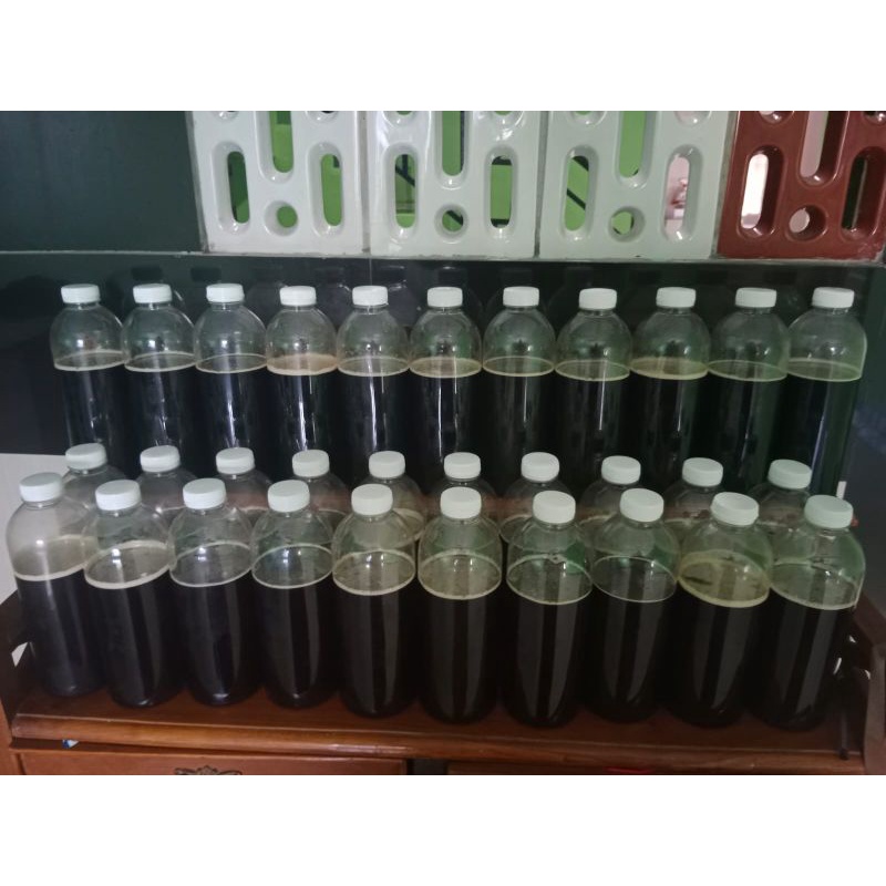 

Madu Murni Asli 100% Akasia 1 Liter