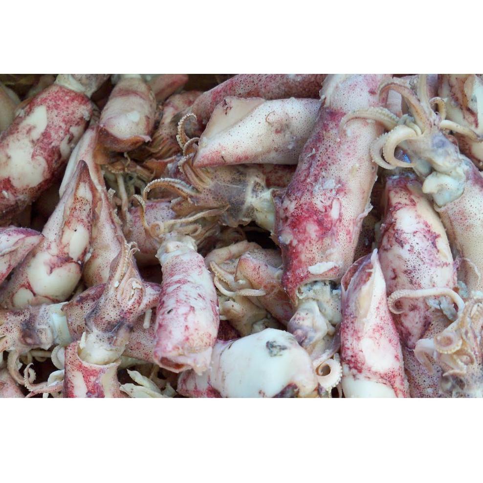 

Terbaruϟday FCW - Cumi Asin Kering 250 Gram