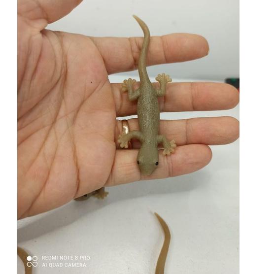 Shopping mainan simulasi cicak karet mirip asli Big Deals