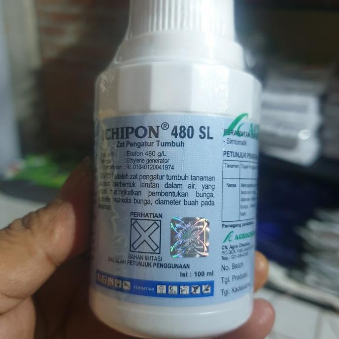 

Ichipon 100Ml Pematang Pisang