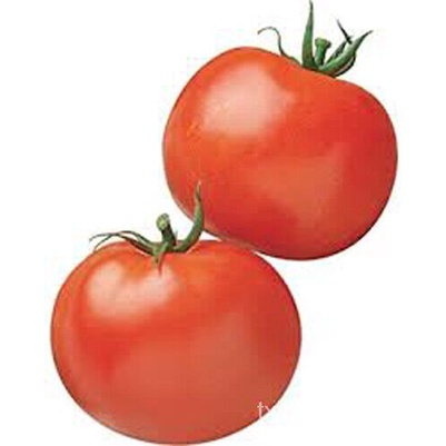 

Sayuran์s+100น Amerika’เพTamanลดุTomat Rutgerม็ Biji Tomatธ ัSegarHeirloom KM1G