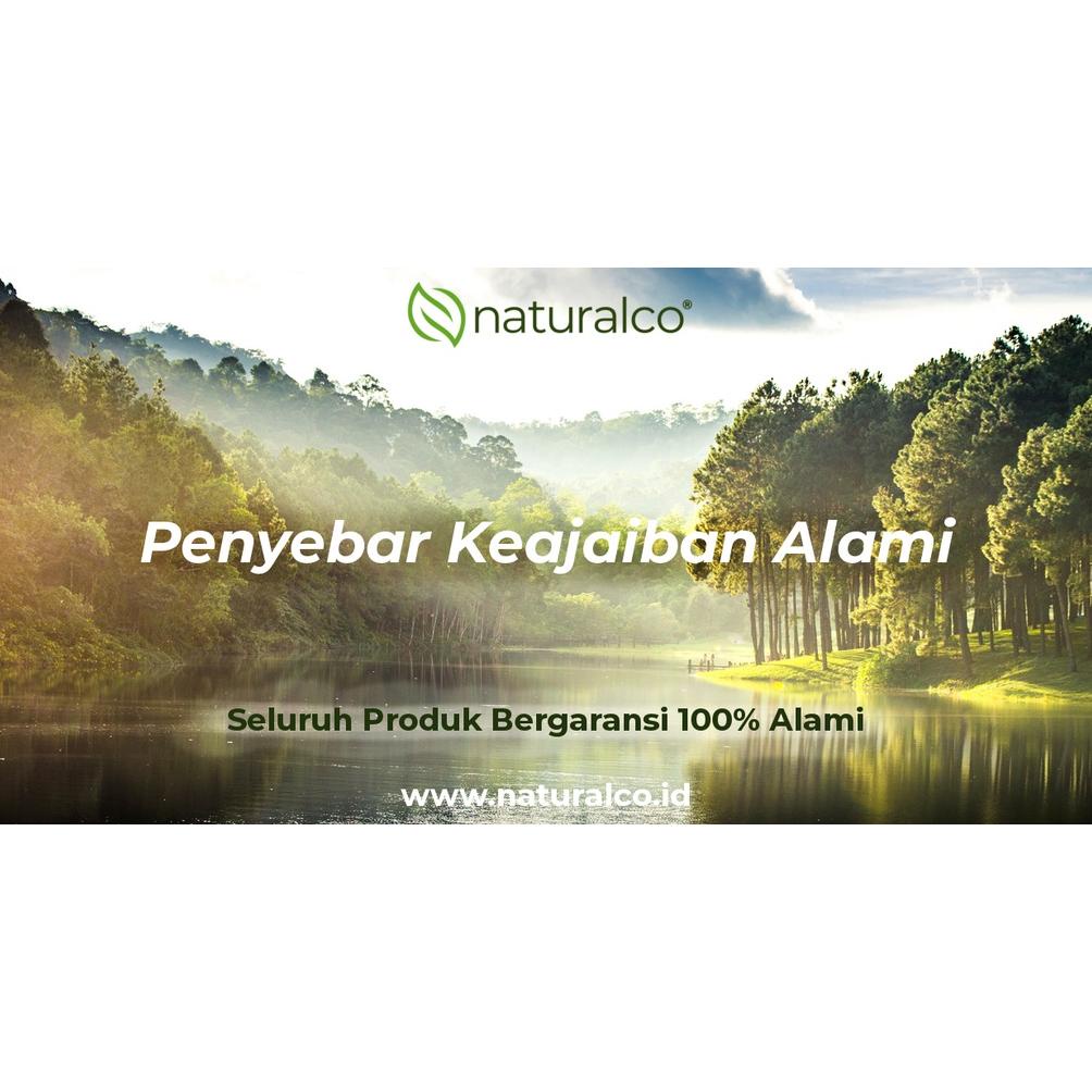 

Miliki Naturalco Peppermint Tea 30 Tea Bags | Teh Bunga Peppermint 30 Kantong Teh Untuk Masalah Pencernaan, Flu & Tenggorokan {Naturalco Tea Series} | Garansi 100% Murni & Alami | Siap Seduh Tinggal Celup ,.