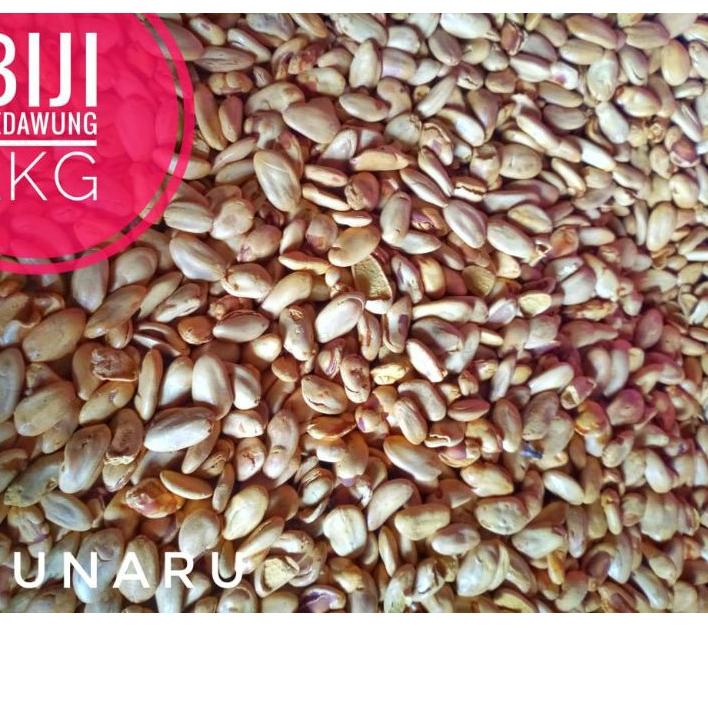 

Promo ⭐ Biji Kedawung Matang 1kg