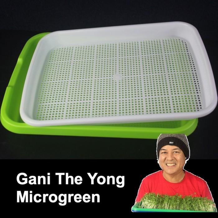 Terlaris Tray Microgreen
