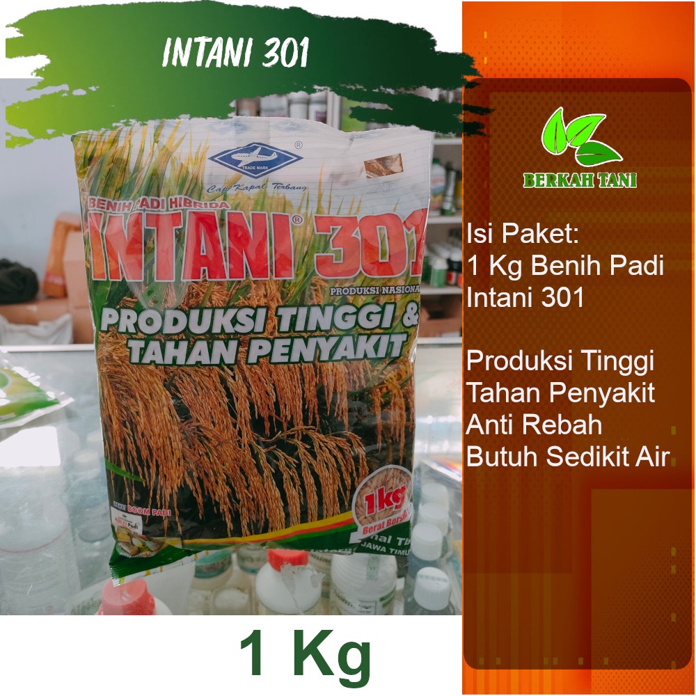 Intani 301 1 Kg Benih Padi Hibrida Mapan 05