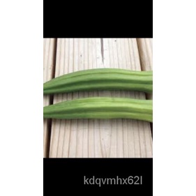 

ด)นธัBenihลพBenihุเOculaม(Tanduk Lembu์็Granul100 OOQE