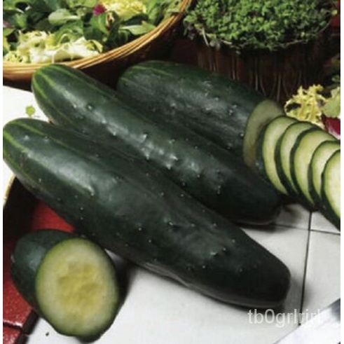

Pemasaran Benih Timun็มเ ลPusaka Heirloomธั Biji Tidak TransgenikนดBenih Sayuran+ 50์พ|ุ JUBW