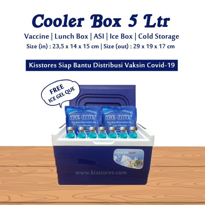 Cooling Vaccine Carrier Box / Cooler Box Vaksin / Box Pendingin