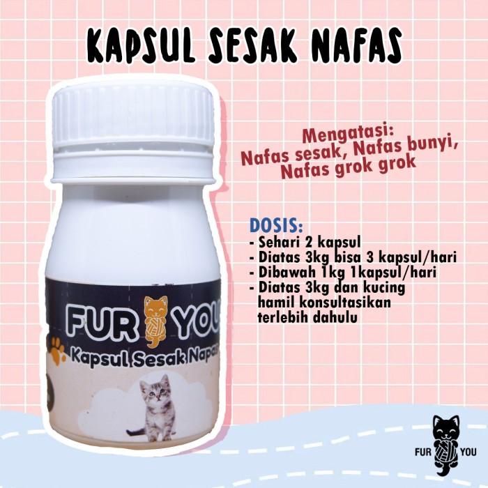 Terlaris Kapsul Kucing Sesak Nafas