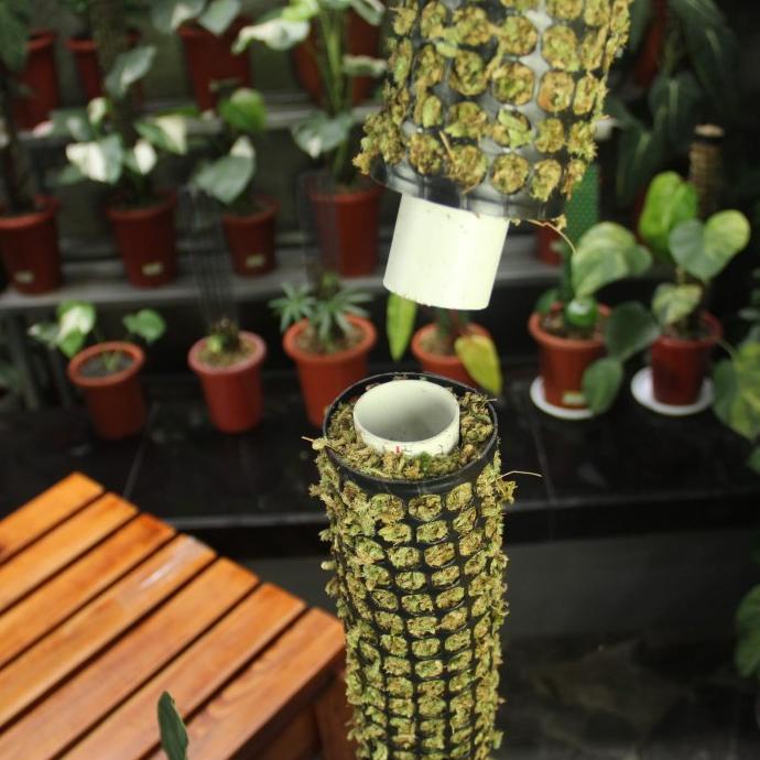 Turus Lumut 2 Meter / Moss pole 200 cm / Penyangga Tanaman Merambat - Model Jaring