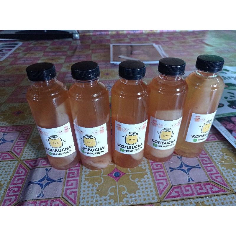 

paket 5 botol scoby kombucha