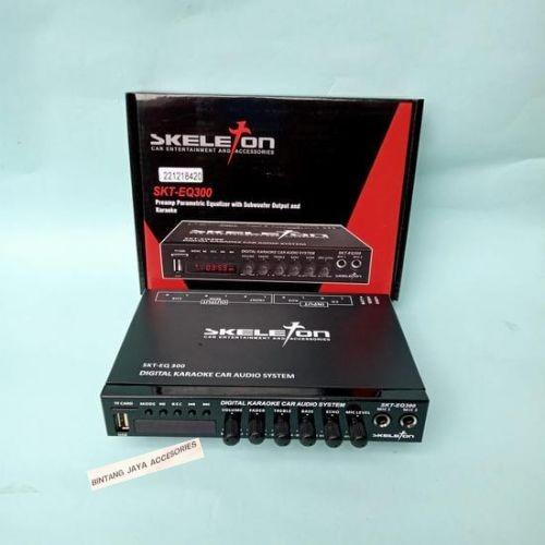 Best Seller Parametrik Equalizer Karaoke Bluetooth Usb Mobil Skeleton Skt-Eq300