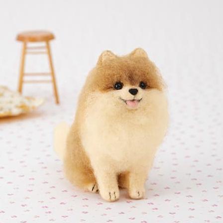 DIY needle felting craft kit pomeranian dog