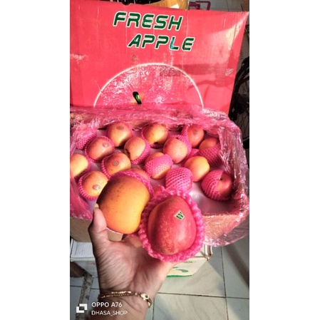 

apel Fuji manis renyah 1kg