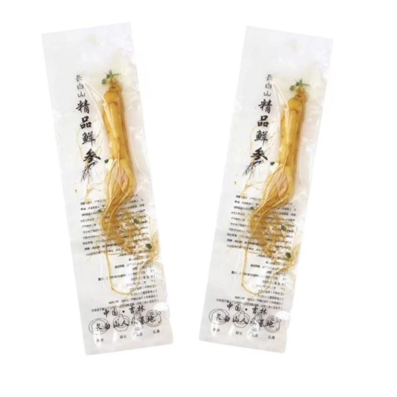 

Ginseng Segar ukuran besar 100 gram / Fresh Ginseng root vacuum pack Best Seller