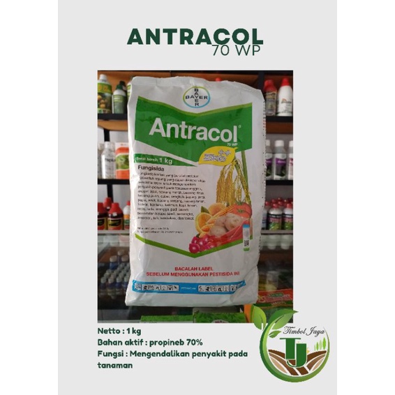 ANTRACOL 70 WP 1 KG