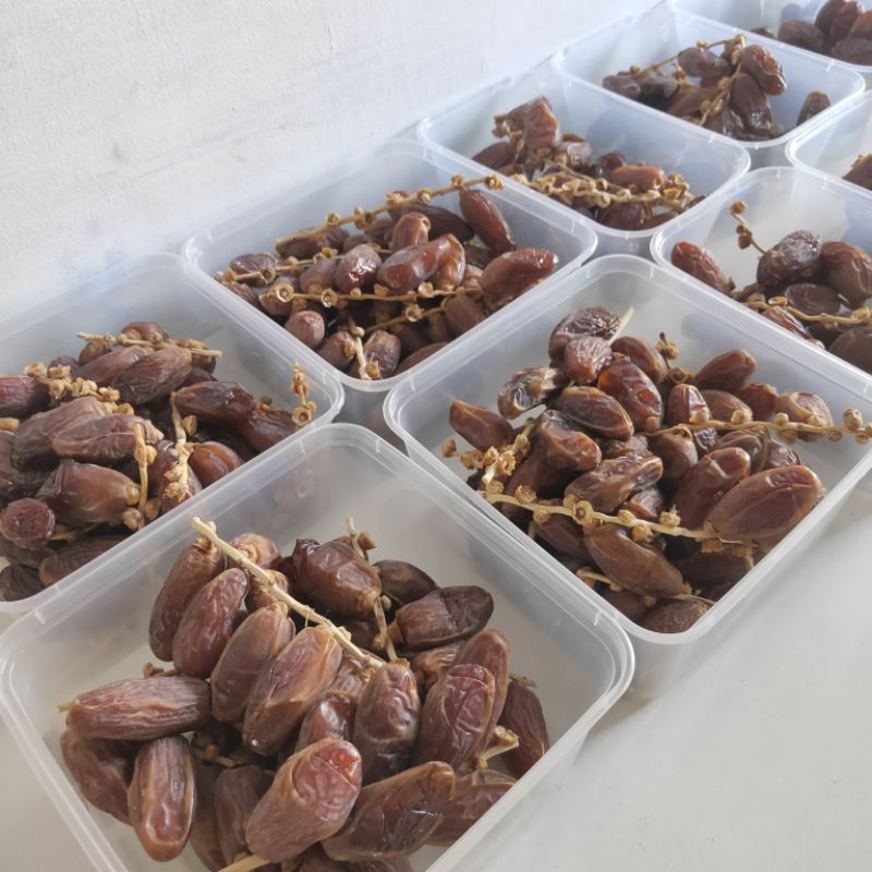 

Kurma Tunisia Tangkai