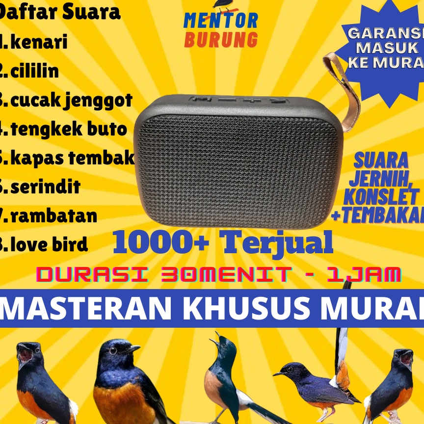 ZZXD-74 Masteran Mp3 Khusus Burung Murai Batu Air Betina Pikatan Borneo Hutan Trotolan Burung Kicau 